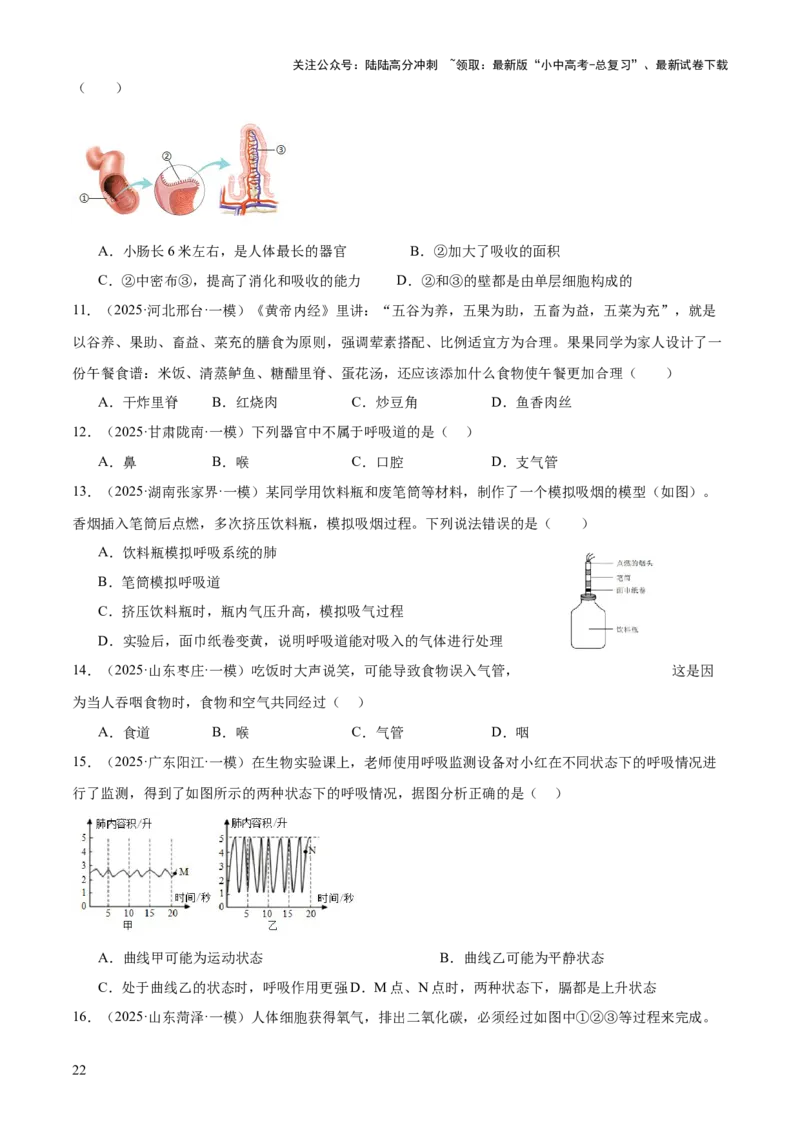 专题04人体生理与健康（一）（4大答题模板）（原卷版）_02中考总复习（2026版更新中）_08-生物-中考总复习_2025中考复习资料_2025年中考生物答题方法模板