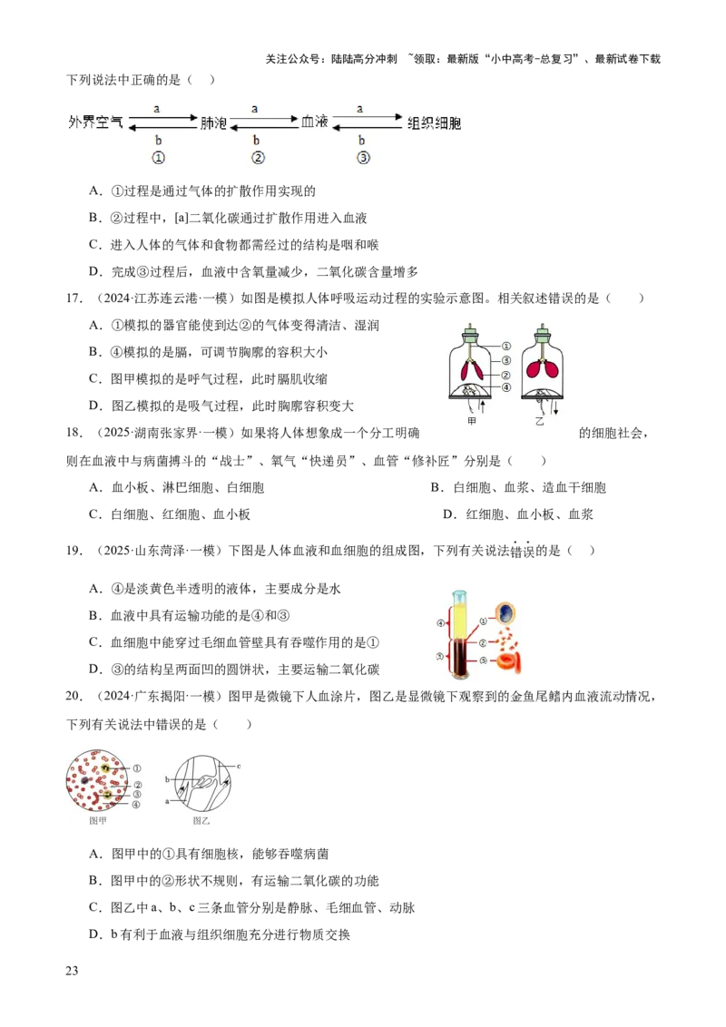 专题04人体生理与健康（一）（4大答题模板）（原卷版）_02中考总复习（2026版更新中）_08-生物-中考总复习_2025中考复习资料_2025年中考生物答题方法模板