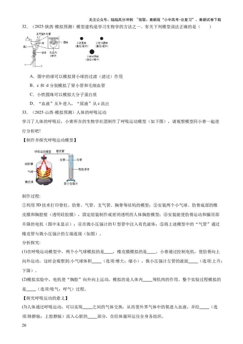 专题04人体生理与健康（一）（4大答题模板）（原卷版）_02中考总复习（2026版更新中）_08-生物-中考总复习_2025中考复习资料_2025年中考生物答题方法模板