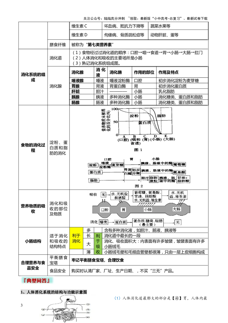 专题04人体生理与健康（一）（4大答题模板）（原卷版）_02中考总复习（2026版更新中）_08-生物-中考总复习_2025中考复习资料_2025年中考生物答题方法模板