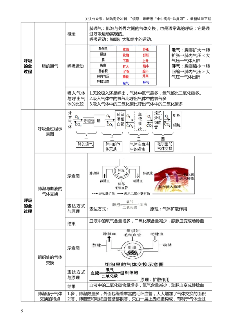专题04人体生理与健康（一）（4大答题模板）（原卷版）_02中考总复习（2026版更新中）_08-生物-中考总复习_2025中考复习资料_2025年中考生物答题方法模板