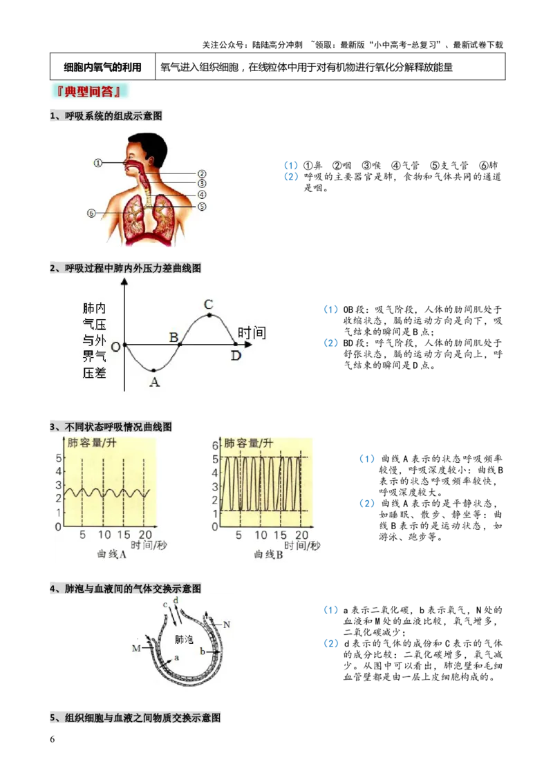 专题04人体生理与健康（一）（4大答题模板）（原卷版）_02中考总复习（2026版更新中）_08-生物-中考总复习_2025中考复习资料_2025年中考生物答题方法模板