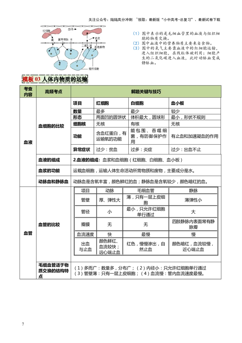 专题04人体生理与健康（一）（4大答题模板）（原卷版）_02中考总复习（2026版更新中）_08-生物-中考总复习_2025中考复习资料_2025年中考生物答题方法模板
