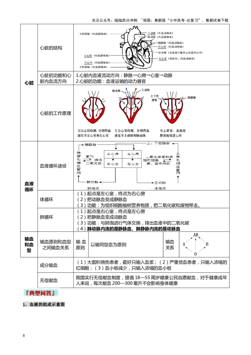 专题04人体生理与健康（一）（4大答题模板）（原卷版）_02中考总复习（2026版更新中）_08-生物-中考总复习_2025中考复习资料_2025年中考生物答题方法模板
