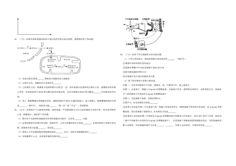 2009年江苏省高考生物试卷_全国卷+地方卷_6.生物_1.生物高考真题试卷_2008-2020年_地方卷_江苏高考生物07-20_A3word版