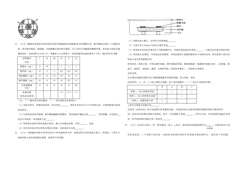 2009年江苏省高考生物试卷_全国卷+地方卷_6.生物_1.生物高考真题试卷_2008-2020年_地方卷_江苏高考生物07-20_A3word版