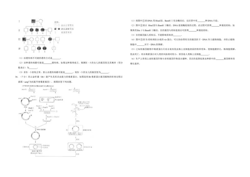 2009年江苏省高考生物试卷_全国卷+地方卷_6.生物_1.生物高考真题试卷_2008-2020年_地方卷_江苏高考生物07-20_A3word版