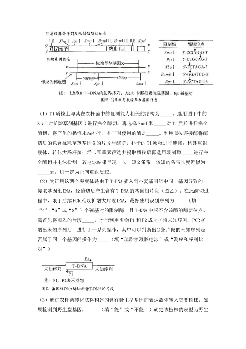(网络收集)2025年山东省生物高考真题（含答案）_2025全国各省高考真题+答案_24、山东卷（物理、政治、化学、历史、生物、地理）_参考版本2