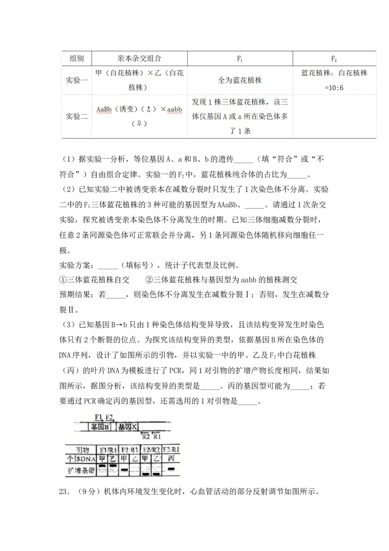 (网络收集)2025年山东省生物高考真题（含答案）_2025全国各省高考真题+答案_24、山东卷（物理、政治、化学、历史、生物、地理）_参考版本2