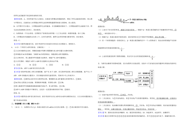 2008年天津市高考生物试卷解析版_全国卷+地方卷_6.生物_1.生物高考真题试卷_2008-2020年_地方卷_天津高考生物07-21_A3word版