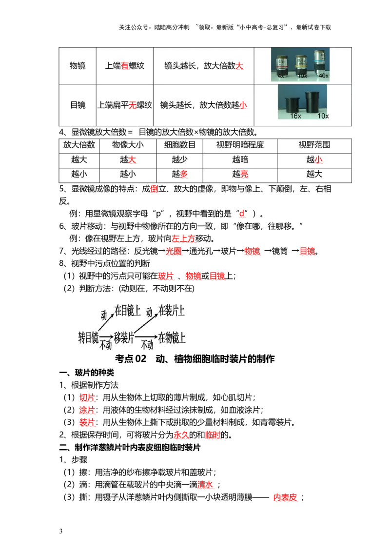 专题02细胞是生命活动的基本单位（背记帮）-备战2024年中考生物一轮复习考点帮_02中考总复习（2026版更新中）_08-生物-中考总复习_2024年中考复习资料_一轮复习_必背考点