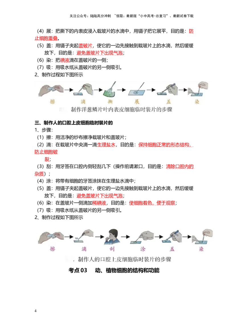 专题02细胞是生命活动的基本单位（背记帮）-备战2024年中考生物一轮复习考点帮_02中考总复习（2026版更新中）_08-生物-中考总复习_2024年中考复习资料_一轮复习_必背考点