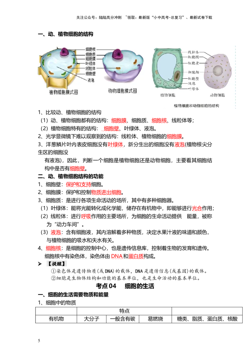 专题02细胞是生命活动的基本单位（背记帮）-备战2024年中考生物一轮复习考点帮_02中考总复习（2026版更新中）_08-生物-中考总复习_2024年中考复习资料_一轮复习_必背考点