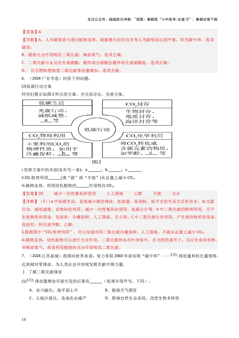 专题03碳和碳的氧化物（解析版）_02中考总复习（2026版更新中）_05-化学-中考总复习_2025年中考复习资料_备战2025年中考化学真题题源解密