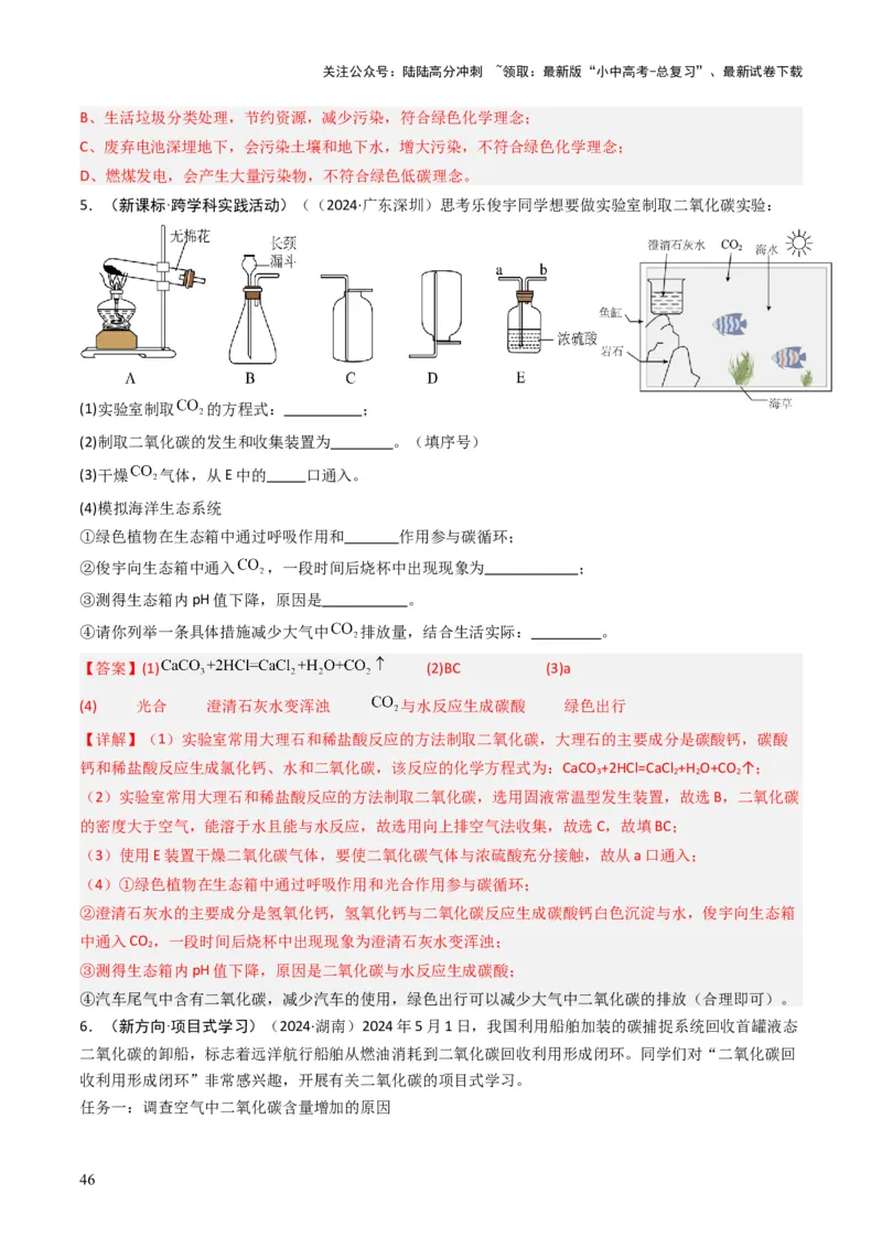 专题03碳和碳的氧化物（解析版）_02中考总复习（2026版更新中）_05-化学-中考总复习_2025年中考复习资料_备战2025年中考化学真题题源解密