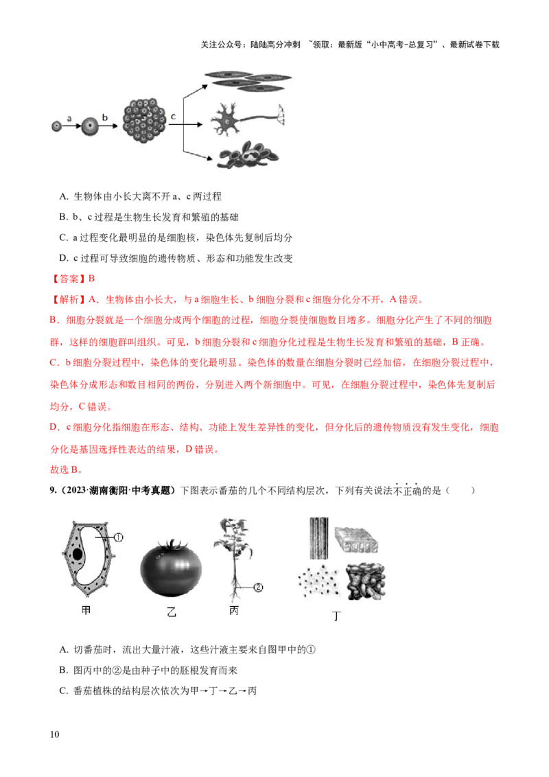 专题03细胞怎样构成生物体（练习）（解析版）_02中考总复习（2026版更新中）_08-生物-中考总复习_2024年中考复习资料_一轮复习_❤2024年中考生物一轮复习讲练测（全国通用）_练习