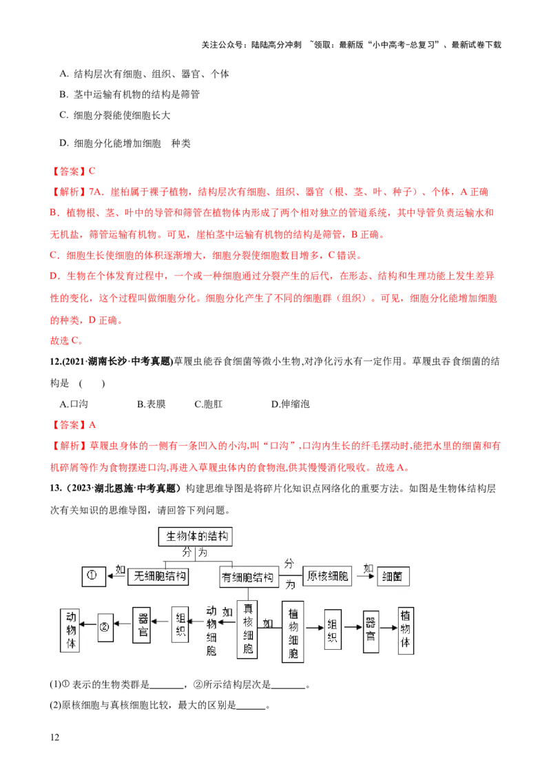 专题03细胞怎样构成生物体（练习）（解析版）_02中考总复习（2026版更新中）_08-生物-中考总复习_2024年中考复习资料_一轮复习_❤2024年中考生物一轮复习讲练测（全国通用）_练习