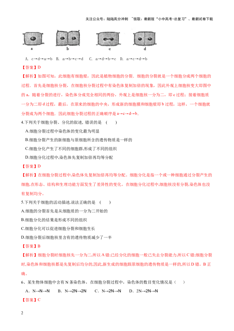 专题03细胞怎样构成生物体（练习）（解析版）_02中考总复习（2026版更新中）_08-生物-中考总复习_2024年中考复习资料_一轮复习_❤2024年中考生物一轮复习讲练测（全国通用）_练习