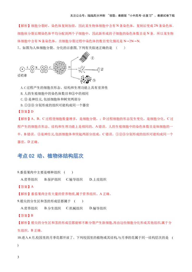 专题03细胞怎样构成生物体（练习）（解析版）_02中考总复习（2026版更新中）_08-生物-中考总复习_2024年中考复习资料_一轮复习_❤2024年中考生物一轮复习讲练测（全国通用）_练习