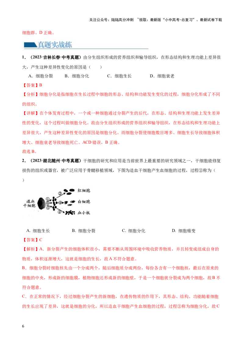 专题03细胞怎样构成生物体（练习）（解析版）_02中考总复习（2026版更新中）_08-生物-中考总复习_2024年中考复习资料_一轮复习_❤2024年中考生物一轮复习讲练测（全国通用）_练习