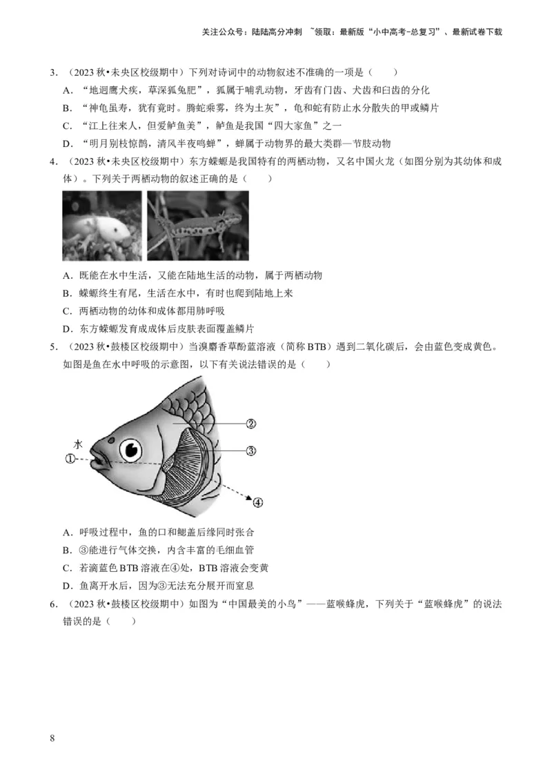 专题02动物的主要类群（原卷版）_02中考总复习（2026版更新中）_08-生物-中考总复习_2024年中考复习资料_专项复习_备战2024年中考生物真题题源解密