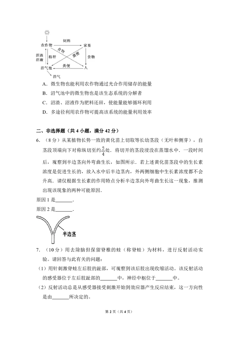 2010年全国统一高考生物试卷（全国卷Ⅰ）（原卷版）_全国卷+地方卷_6.生物_1.生物高考真题试卷_2008-2020年_全国卷_全国统一高考生物（新课标ⅰ）08-21_A4word版_PDF版（赠送）