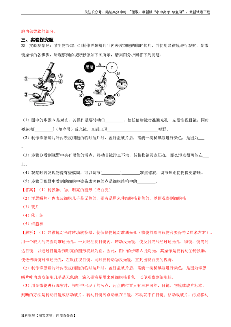 专题02细胞是生命活动的基本单位（解析版）_02中考总复习（2026版更新中）_08-生物-中考总复习_2024年中考复习资料_一轮复习_省心备考2024年中考生物一轮复习精讲精练（全国通用）