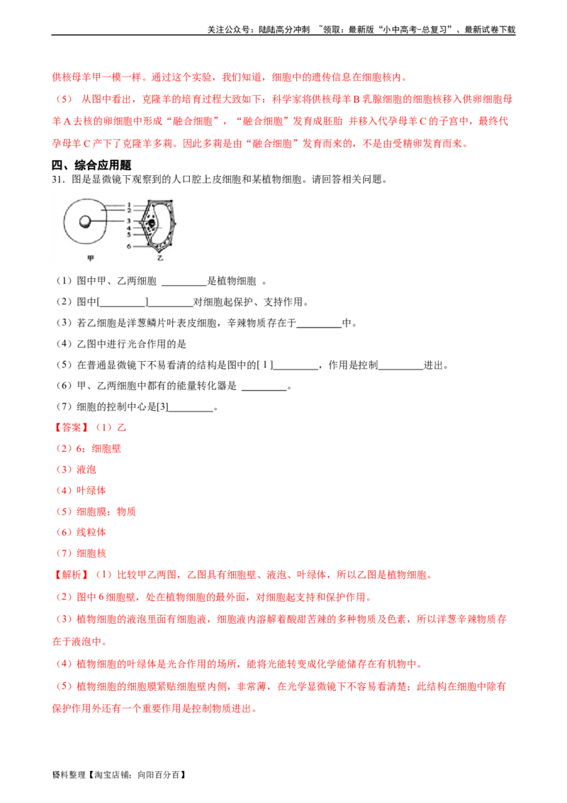 专题02细胞是生命活动的基本单位（解析版）_02中考总复习（2026版更新中）_08-生物-中考总复习_2024年中考复习资料_一轮复习_省心备考2024年中考生物一轮复习精讲精练（全国通用）