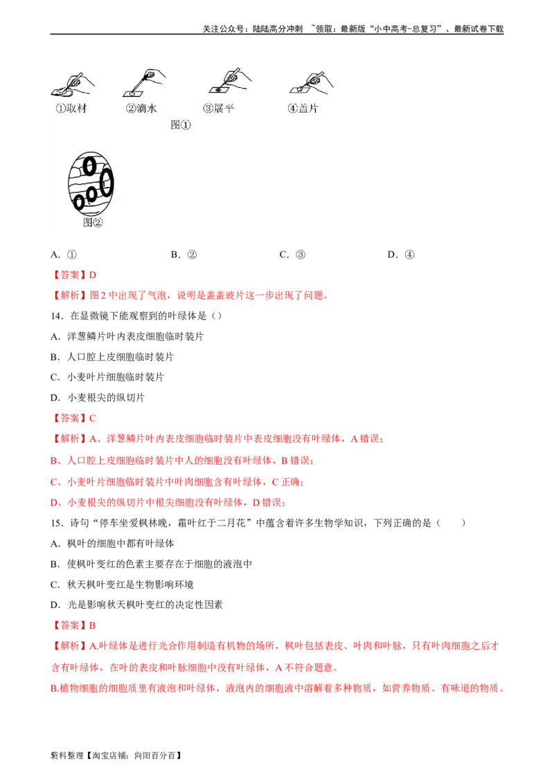 专题02细胞是生命活动的基本单位（解析版）_02中考总复习（2026版更新中）_08-生物-中考总复习_2024年中考复习资料_一轮复习_省心备考2024年中考生物一轮复习精讲精练（全国通用）