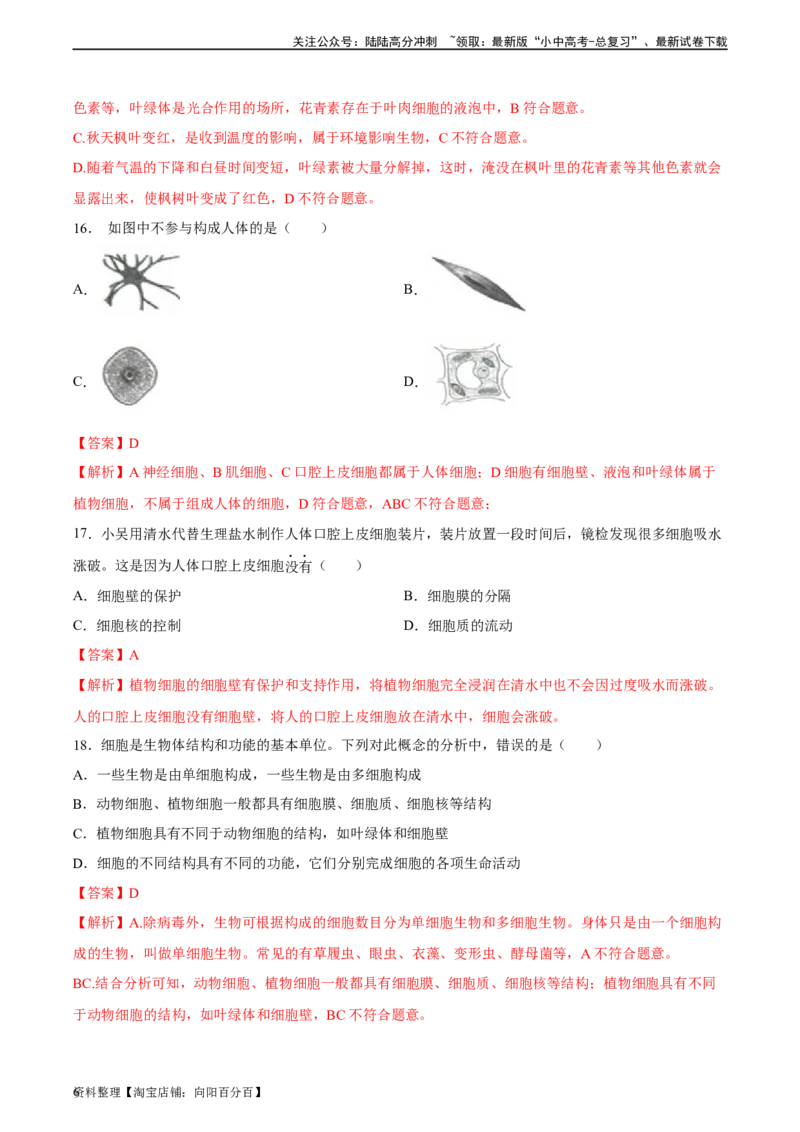 专题02细胞是生命活动的基本单位（解析版）_02中考总复习（2026版更新中）_08-生物-中考总复习_2024年中考复习资料_一轮复习_省心备考2024年中考生物一轮复习精讲精练（全国通用）