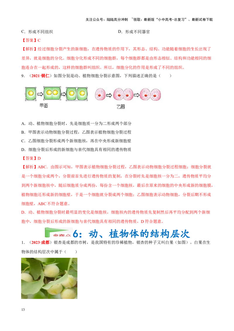 专题02&nbsp;生物体的结构层次（解析版）_02中考总复习（2026版更新中）_08-生物-中考总复习_2024年中考复习资料_专项复习_完三年（2021-2023）中考生物真题分项汇编（全国通用）_答案解析版