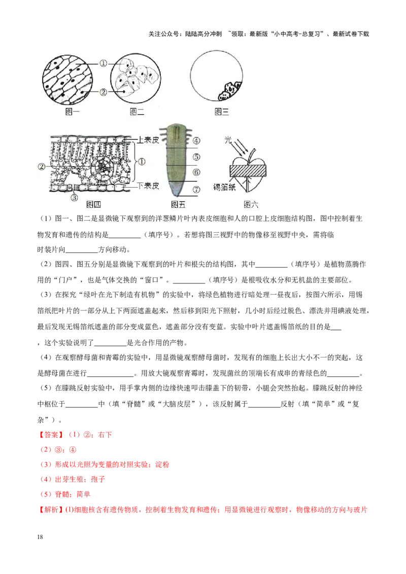 专题02&nbsp;生物体的结构层次（解析版）_02中考总复习（2026版更新中）_08-生物-中考总复习_2024年中考复习资料_专项复习_完三年（2021-2023）中考生物真题分项汇编（全国通用）_答案解析版