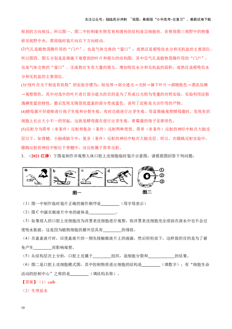 专题02&nbsp;生物体的结构层次（解析版）_02中考总复习（2026版更新中）_08-生物-中考总复习_2024年中考复习资料_专项复习_完三年（2021-2023）中考生物真题分项汇编（全国通用）_答案解析版