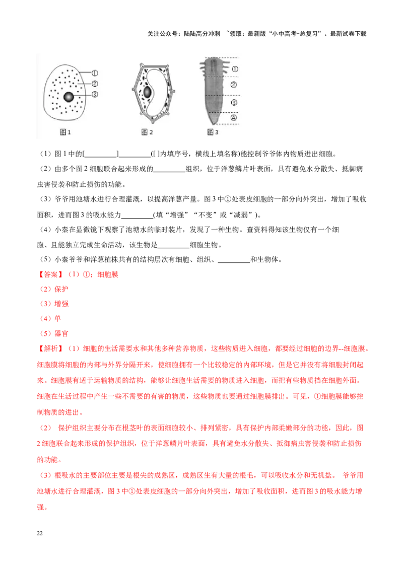 专题02&nbsp;生物体的结构层次（解析版）_02中考总复习（2026版更新中）_08-生物-中考总复习_2024年中考复习资料_专项复习_完三年（2021-2023）中考生物真题分项汇编（全国通用）_答案解析版