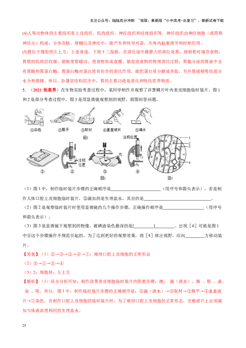 专题02&nbsp;生物体的结构层次（解析版）_02中考总复习（2026版更新中）_08-生物-中考总复习_2024年中考复习资料_专项复习_完三年（2021-2023）中考生物真题分项汇编（全国通用）_答案解析版