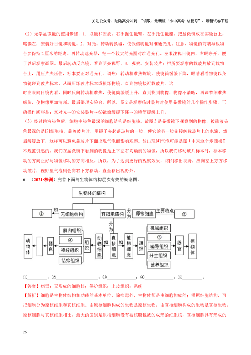 专题02&nbsp;生物体的结构层次（解析版）_02中考总复习（2026版更新中）_08-生物-中考总复习_2024年中考复习资料_专项复习_完三年（2021-2023）中考生物真题分项汇编（全国通用）_答案解析版