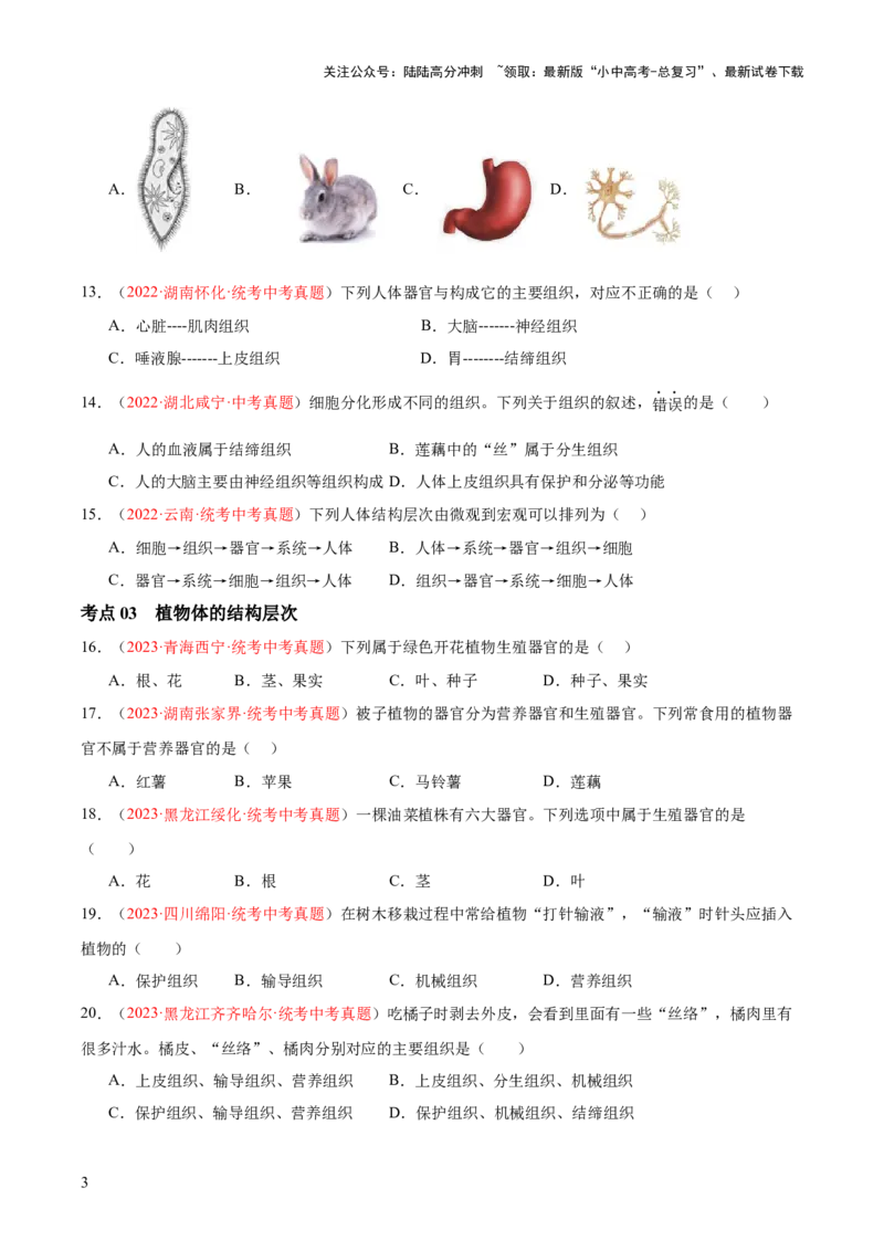 专题03细胞怎样构成生物体（原卷版）_02中考总复习（2026版更新中）_08-生物-中考总复习_2024年中考复习资料_一轮复习_❤备战2024年中考生物一轮复习考点帮（全国通用）_练习