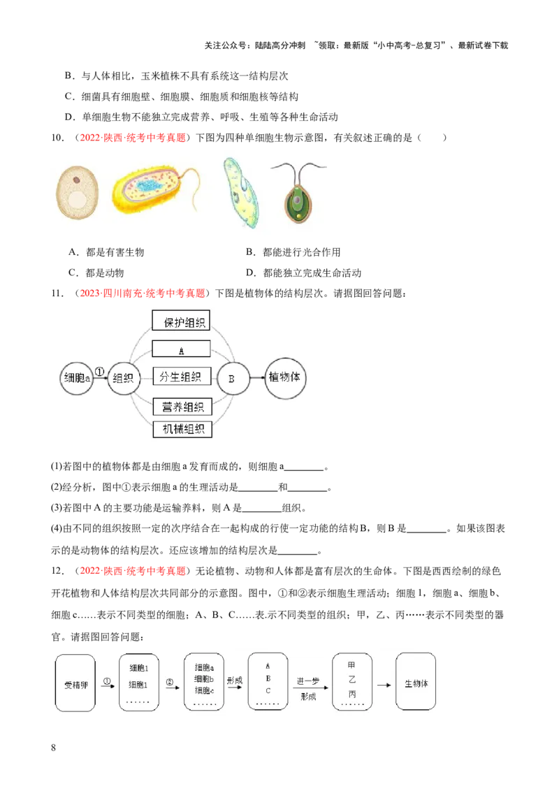 专题03细胞怎样构成生物体（原卷版）_02中考总复习（2026版更新中）_08-生物-中考总复习_2024年中考复习资料_一轮复习_❤备战2024年中考生物一轮复习考点帮（全国通用）_练习
