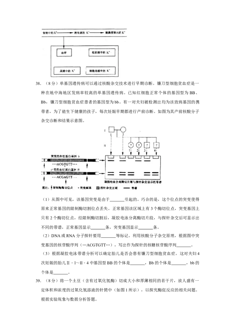 2007年江苏省高考生物试卷_全国卷+地方卷_6.生物_1.生物高考真题试卷_2008-2020年_地方卷_江苏高考生物07-20_A4word版