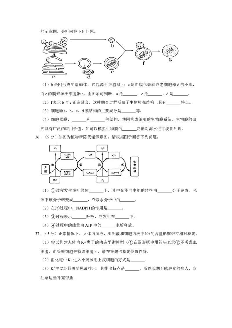 2007年江苏省高考生物试卷_全国卷+地方卷_6.生物_1.生物高考真题试卷_2008-2020年_地方卷_江苏高考生物07-20_A4word版