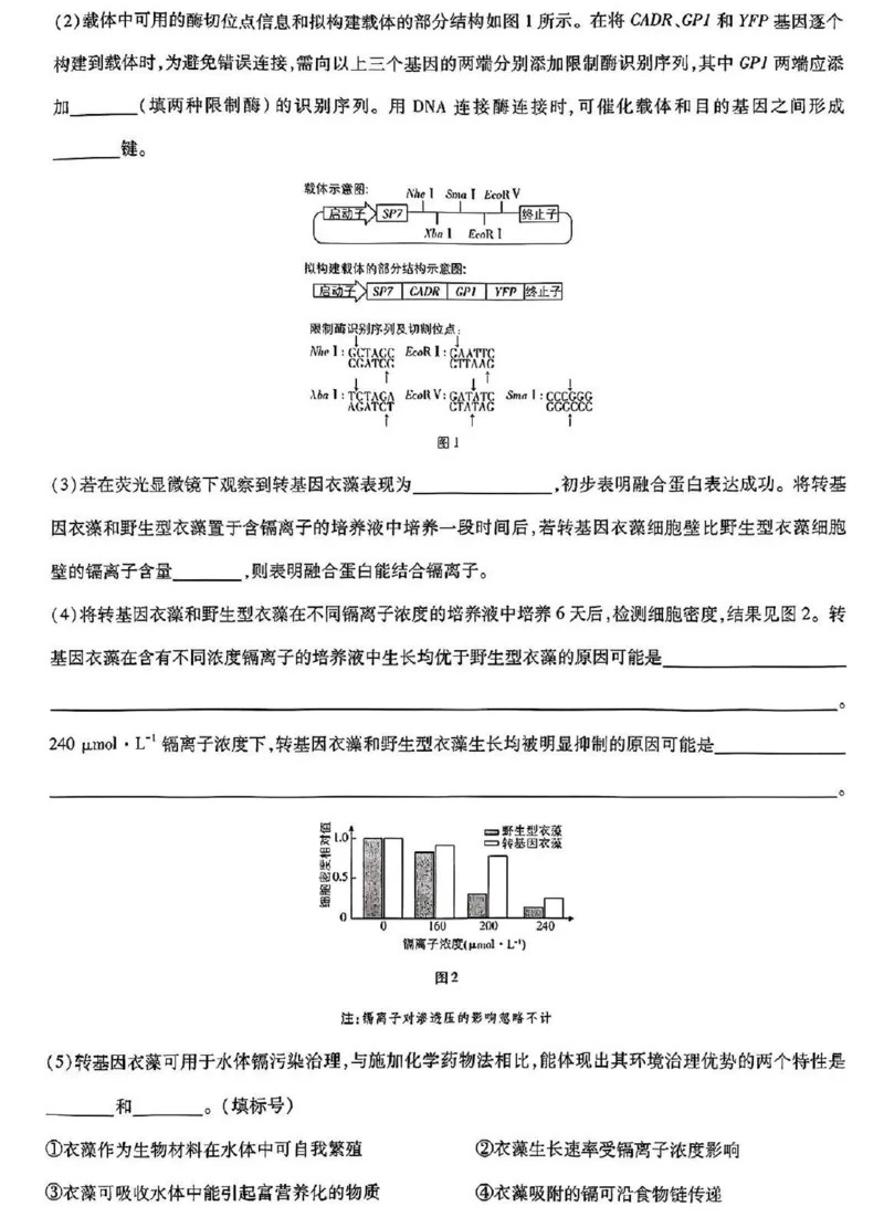生物_2025全国各省高考真题+答案_10、河北卷（物理、历史、化学、地理、政治、生物）_2025年河北高考真题生物