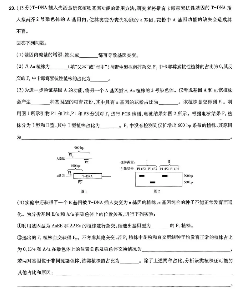 生物_2025全国各省高考真题+答案_10、河北卷（物理、历史、化学、地理、政治、生物）_2025年河北高考真题生物