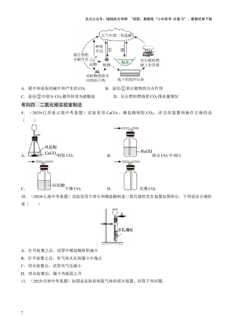 专题03碳和碳的氧化物（原卷版）_02中考总复习（2026版更新中）_05-化学-中考总复习_2026年中考复习（更新中）_备战2026年中考化学真题题源解密