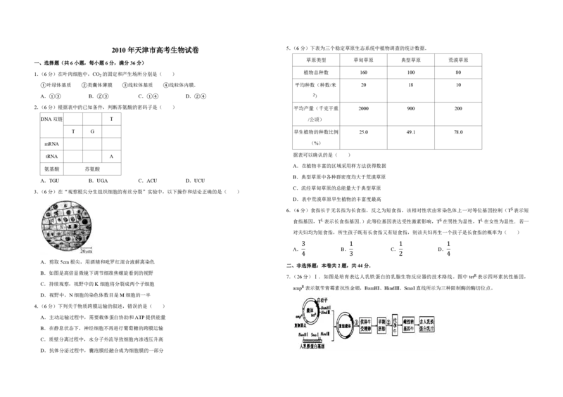 2010年天津市高考生物试卷_全国卷+地方卷_6.生物_1.生物高考真题试卷_2008-2020年_地方卷_天津高考生物07-21_A3word版_PDF版（赠送）