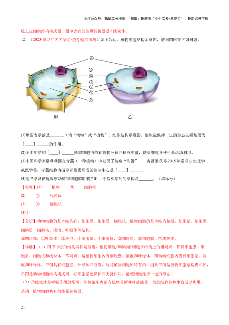 专题02细胞是生命活动的基本单位（解析版）_02中考总复习（2026版更新中）_08-生物-中考总复习_2024年中考复习资料_一轮复习_❤备战2024年中考生物一轮复习考点帮（全国通用）_练习