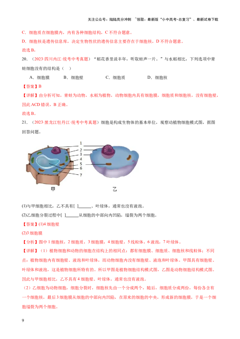 专题02细胞是生命活动的基本单位（解析版）_02中考总复习（2026版更新中）_08-生物-中考总复习_2024年中考复习资料_一轮复习_❤备战2024年中考生物一轮复习考点帮（全国通用）_练习