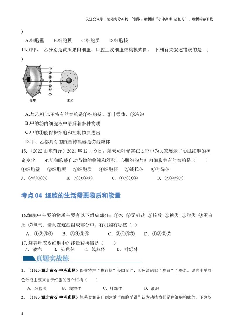 专题02细胞是生命活动的基本单位（练习）（原卷版）_02中考总复习（2026版更新中）_08-生物-中考总复习_2024年中考复习资料_一轮复习_❤2024年中考生物一轮复习讲练测（全国通用）_练习