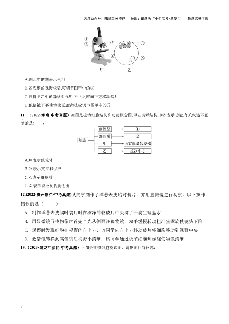 专题02细胞是生命活动的基本单位（练习）（原卷版）_02中考总复习（2026版更新中）_08-生物-中考总复习_2024年中考复习资料_一轮复习_❤2024年中考生物一轮复习讲练测（全国通用）_练习