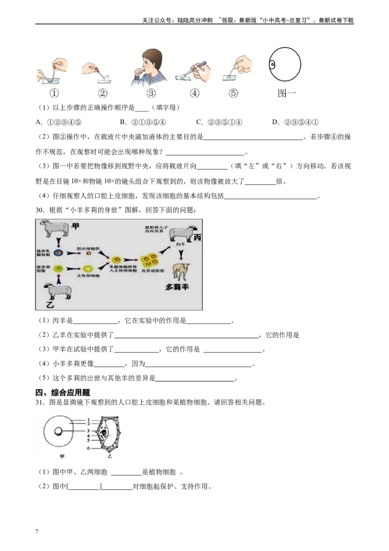 专题02细胞是生命活动的基本单位（原卷版）_02中考总复习（2026版更新中）_08-生物-中考总复习_2024年中考复习资料_一轮复习_省心备考2024年中考生物一轮复习精讲精练（全国通用）