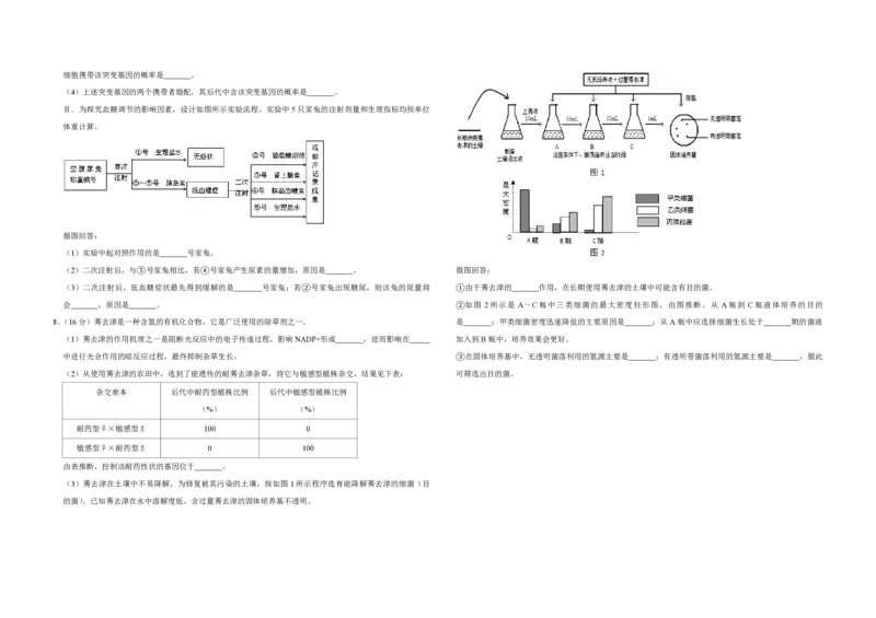 2008年天津市高考生物试卷_全国卷+地方卷_6.生物_1.生物高考真题试卷_2008-2020年_地方卷_天津高考生物07-21_A3word版_PDF版（赠送）